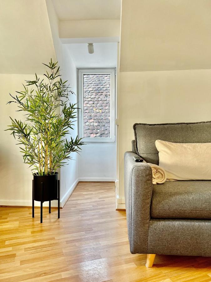 Bonjour Colmar Apartment Екстериор снимка